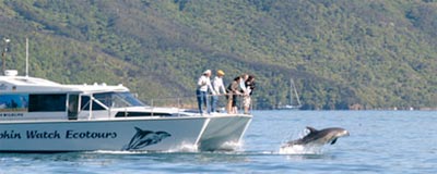 Dolphin Watch & Nature Tours Ltd