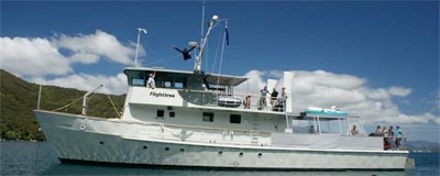 Picton Charters